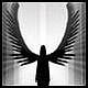Angelwings