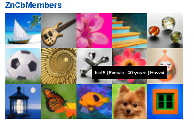 Members Members